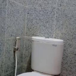 Aini Sange Kecanduan Omek Show di Toilet