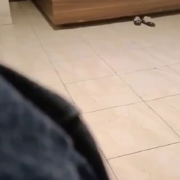 Ajarin Teman Ngentot Dimasukin Enak Banget