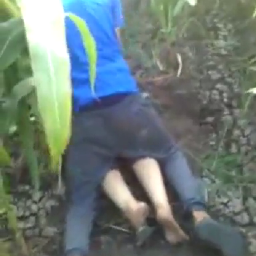 Kepergok Ngewe Di Kebun Jagung