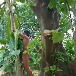 Ngentot Tanpa Modal